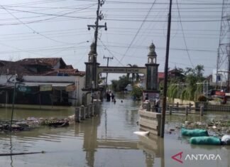Warga Demak Korban Banjir Mulai Pulang ke Rumah