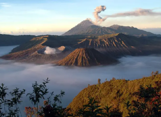 Wisata Bromo Ditutup Total untuk Pembersihan Kawasan