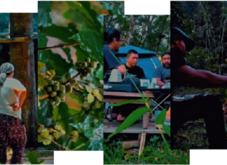 Angkat Tawa dan Tangis Petani Kopi Jember, MAKI Jatim Produksi Film “Kopi Itu Harus Proses”