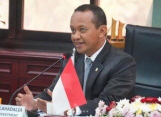 Begitu Hebohnya, Investasi Starlink ke Indonesia Hanya Rp 30 Miliar