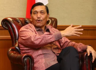 Menteri Luhut: Afrika Pas jadi Pasar Besar Baterai Kendaraan Listrik