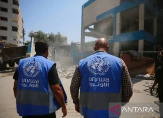 UNRWA Sebut Lebih dari 560 Pengungsi Tewas di Kamp PBB