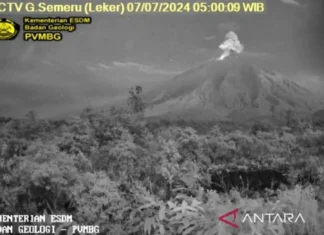 Erupsi Lagi, Letusan Gunung Semeru Setinggi 1 Kilometer