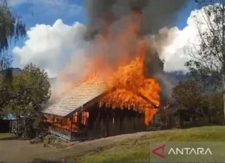 KKB Papua Bakar Gedung SD di Okbab Papua Pegunungan