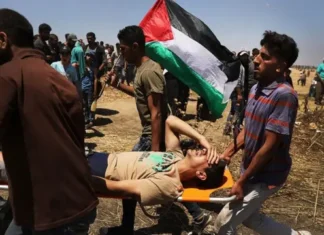 Jepang Beri Sanksi Empat Pemukim Israel yang Terlibat Kekerasan di Gaza