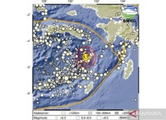 BMKG: Gempa 5,7 Magnitudo di Maluku Tidak Berpotensi Tsunami