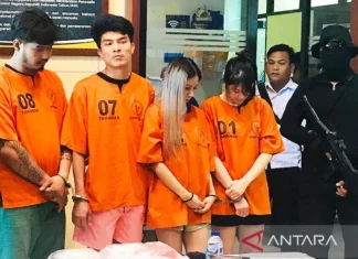 BNN Ungkap Jaringan Narkoba Internasional Thailand-Bali Modus Makanan Suplemen