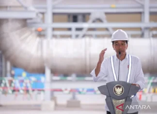 Presiden Jokowi: Smelter AMNT dan Freeport Bukti Hilirisasi Ada