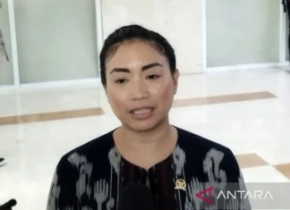 Rahayu Saraswati Akan Lapor Presiden Prabowo Jika Nasib Rudy Soik Tidak Jelas