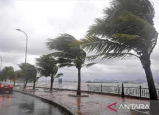 Topan Trami Renggut 81 Nyawa Penduduk Filipina