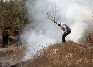 Tentara Israel Serang Delegasi Internasional Di Palestina