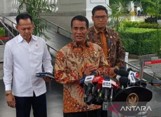 Presiden Prabowo Tugaskan Menteri Pertanian Percepat Program Cetak Sawah 3 Juta Hektar