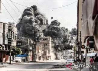 Liga Arab Desak Dunia Hukum Israel Karena Lakukan Genosida Terhadap Rakyat Palestina