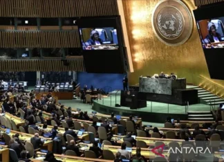 Dewan Keamanan PBB Kecam Larangan Operasional UNRWA Di Wilayah Israel