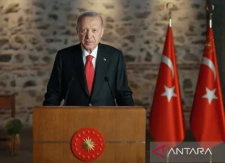 Erdogan Benarkan Turki Tutup Wilayah Udaranya Untuk Pesawat Israel