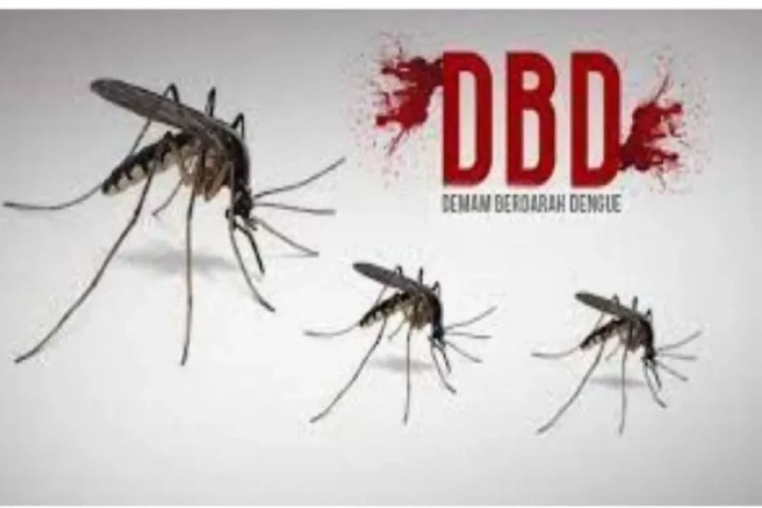 Ilustrasi, Nyamuk pembawa virus DBD