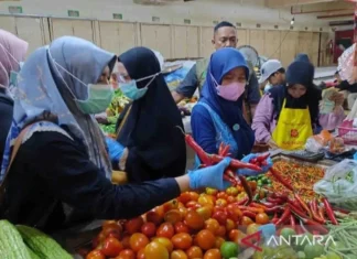 Bapanas Pastikan Jaga Keamanan Pangan Untuk Kesehatan Masyarakat