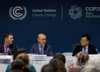 KKP Siapkan Peta Nasional Padang Lamun Dukung Penurunan Emisi Karbon