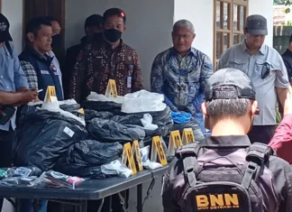 Kepala BNN: Ada Dua Sebab Anak Muda Terjerumus Penyalahgunaan Narkoba