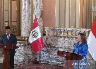 Presiden Prabowo Bertemu Presiden Peru Rayakan 50 Tahun Kerja Sama Dua Negara
