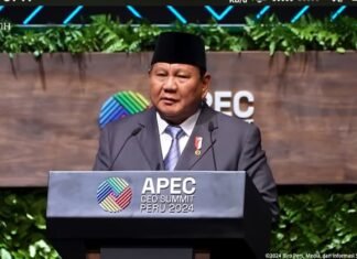 Prabowo Di Forum APEC: RI Termasuk Negara Capai 100 Persen Energi Terbarukan