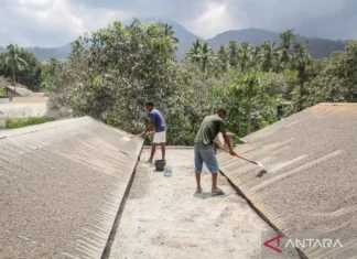 Badan Geologi Turunkan Status Gunung Lewotobi Jadi Level Siaga