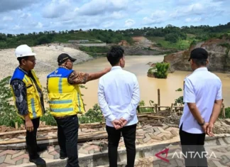 Wapres Gibran Tinjau Bendungan Jlantah Untuk Irigasi Hingga Energi Terbarukan