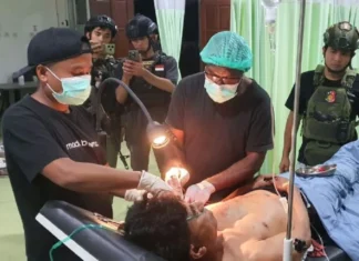 Kaops: KKB Tembak Warga Di Kampung Kago-Puncak