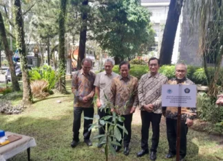 Kementerian LH Gandeng UB Optimalkan Rehabilitasi Lahan Mangrove