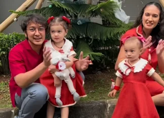 Nadine Chandrawinata Hias Pohon Natal Di Rumah Bersama Keluarga