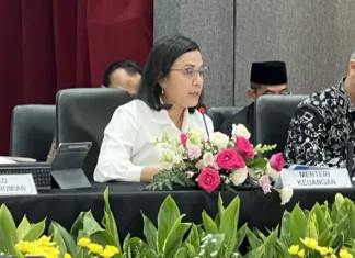 Pemerintah Beri Diskon Listrik 50 Persen Selama 2 Bulan Imbas PPN Naik