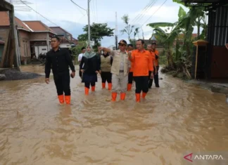 Presiden Prabowo Teken Perpres Atur Penyesuaian Tunjangan Kinerja Pegawai BNPB