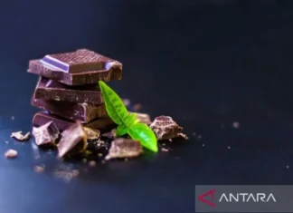 Studi Tunjukkan Konsumsi Cokelat Hitam Dapat Kurangi Risiko Diabetes