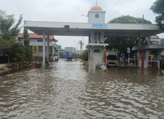 BPBD: Tiga RT Di Pluit Terendam Banjir Rob Hingga 70 Centimeter