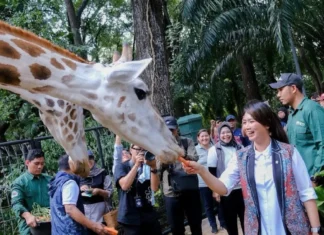 Wakil Menteri Pariwisata Tinjau Fasilitas Taman Margasatwa Ragunan