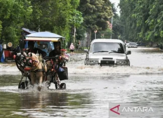 BPBD: Hujan Ekstrem Picu Banjir di Jakarta, Drainase “Overload”