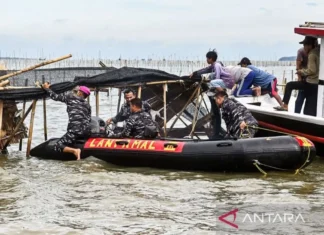 Ikuti Perintah Presiden Prabowo, TNI AL Bongkar Pagar Laut