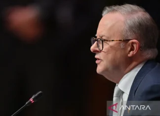 AS Usul Kontrol Gaza, Australia Tegaskan Dukung Solusi Dua Negara