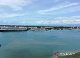 Menteri BUMN: Pelabuhan Benoa Cetak Sejarah, Sandarkan 3 Kapal Pesiar