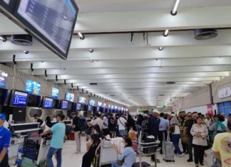 Pakar: Pejabat Imigrasi Soetta Dicopot Pascapungli Kebijakan Tepat