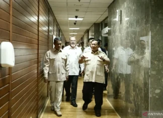 Presiden Prabowo Siap Terbitkan PP untuk Atur HPP Gabah Rp6.500
