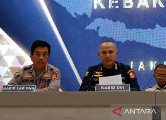 Tiga Korban Kebakaran Glodok Berprofesi Sebagai Pemengaruh-Kasir