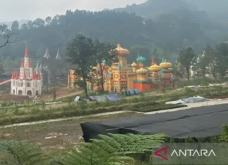 Bupati Bogor Undang Gubernur hingga Menteri LH Lihat Kondisi Puncak