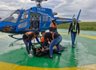 Dua Jenazah Pendaki Puncak Cartensz Diterbangkan ke Jakarta