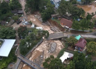 Forest Watch Indonesia Temukan Kerusakan Hutan di Tiga Hulu Sungai
