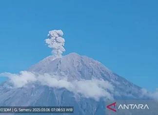 Gunung Semeru Erupsi dengan Tinggi Letusan 1.100 Meter di Atas Puncak