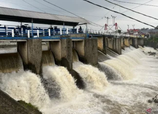 Gara-gara Puncak Bogor Hujan Seharian, Jakarta Terimbas Banjir Kiriman