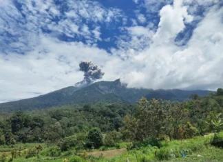 Erupsi Gunung Marapi Lontarkan Abu Vulkanik Setinggi 800 Meter