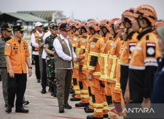 Pascagempa Myanmar, Pemerintah RI Kirim Personel USAR