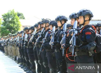 Polda Papua Barat Libatkan 510 Personel Gabungan Pencarian Iptu Tomi Marbun